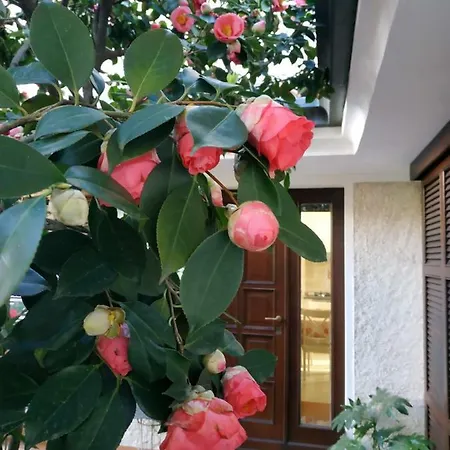 La Maison Blanche Holiday home Somma Lombardo