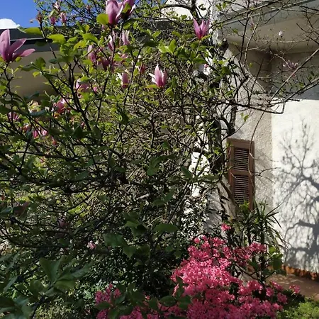 La Maison Blanche *