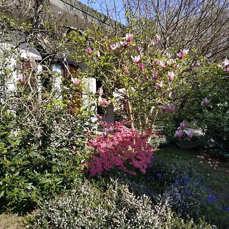 La Maison Blanche * Somma Lombardo